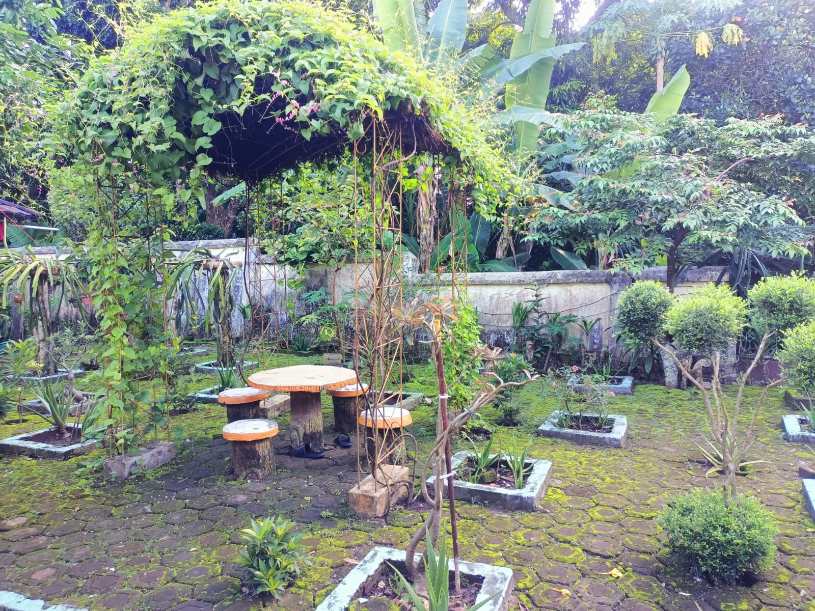 Foto 3